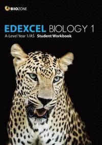 bokomslag EDEXCEL Biology 1 A-Level 1/AS Student Workbook