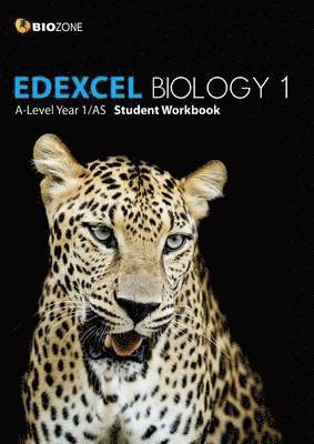 bokomslag EDEXCEL Biology 1 A-Level 1/AS Student Workbook