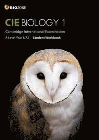 bokomslag Cambridge International AS and A Level Biology Year 1 Student Workbook