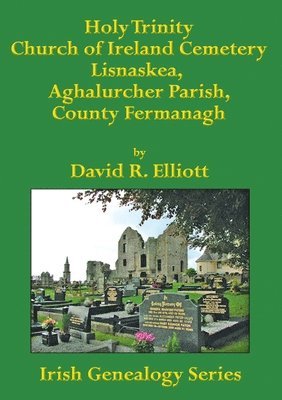 bokomslag Holy Trinity Church of Ireland Cemetery, Lisnaskea, Aghalurcher Parish, County Fermanagh