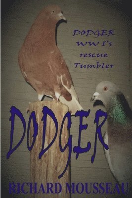 Dodger 1