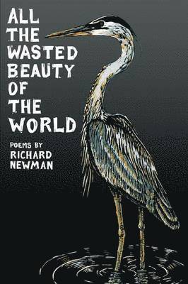 All the Wasted Beauty of the World - Poems 1