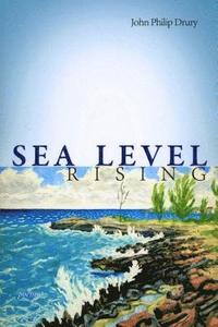 bokomslag Sea Level Rising - Poems