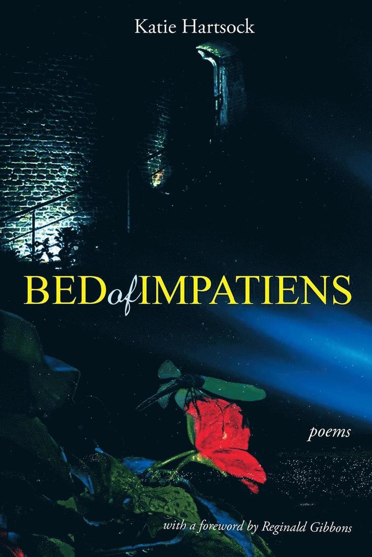 Bed of Impatiens