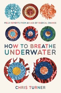 bokomslag How to Breathe Underwater