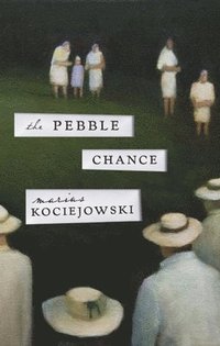 bokomslag The Pebble Chance