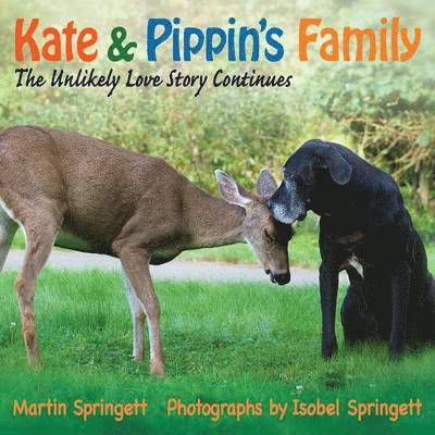 Martin Springett - Kate & Pippin's Family, Häftad