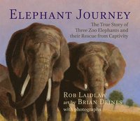 bokomslag Elephant Journey