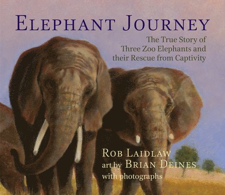 Elephant Journey 1