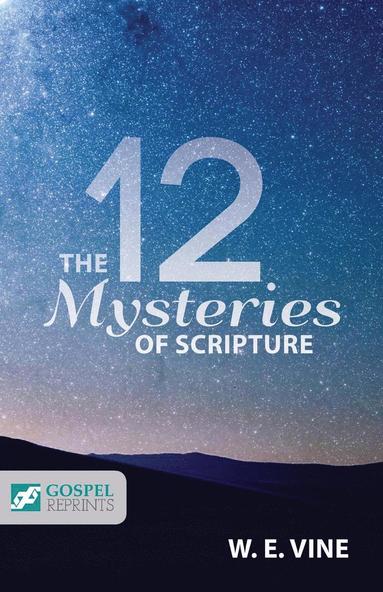 bokomslag 12 Mysteries of Scripture