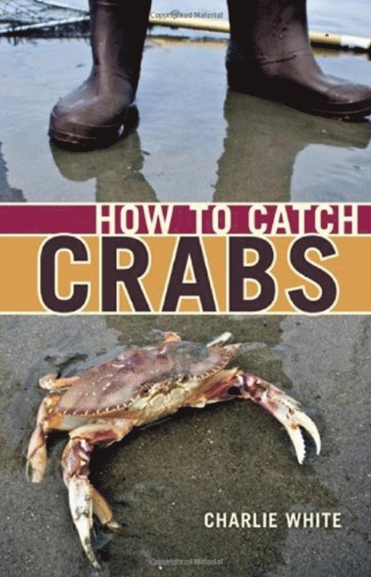 How to Catch Crabs
