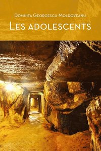 bokomslag Les Adolescents (Coeur D'or)