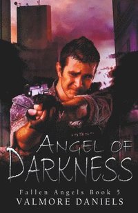 bokomslag Angel of Darkness
