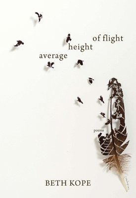 bokomslag Average Height of Flight