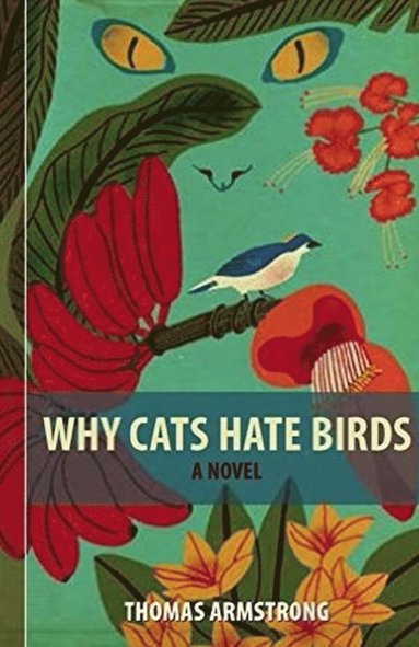 bokomslag Why Cats Hate Birds