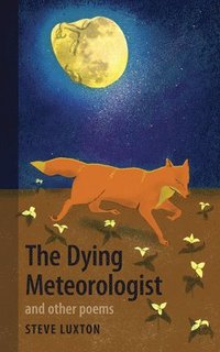 bokomslag The Dying Meteorologist