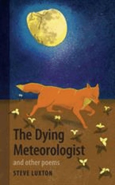 Steve Luxton - Dying Meteorologist, Häftad
