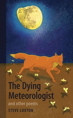 bokomslag Dying Meteorologist