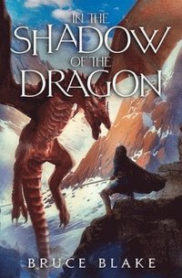 bokomslag In the Shadow of the Dragon