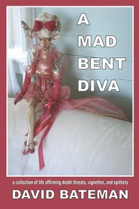bokomslag A Mad Bent Diva