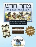 bokomslag Bar/Bat Mitzvah Survival Guides: Mahar Hodesh (Shabbat am Haftarah)