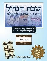 bokomslag Bar/Bat Mitzvah Survival Guides: Shabbat Ha-Gadol (Shabbat am Haftarah)
