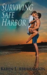 bokomslag Surviving Safe Harbor