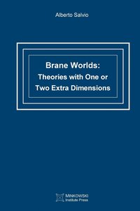 bokomslag Brane Worlds