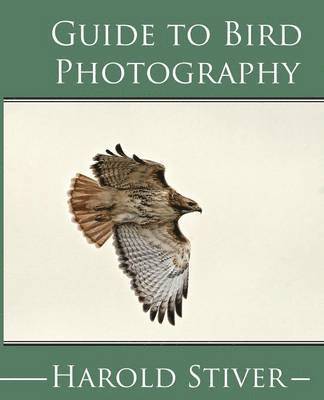 Guide to Photographing Birds 1