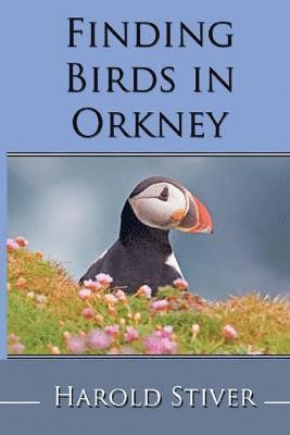 Finding Birds in Orkney 1