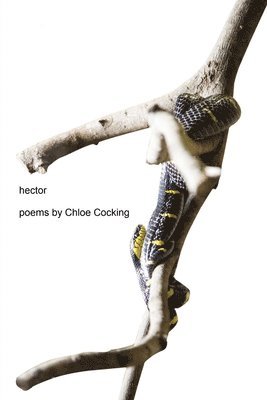 Chloe Cocking - Hector, Häftad