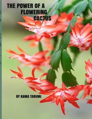 bokomslag Power of a Flowering Cactus
