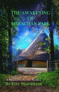 bokomslag Awakening of Meeachan Park