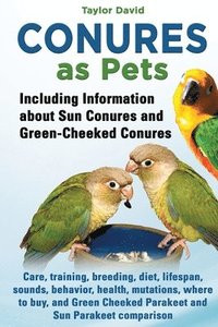 bokomslag Conures as Pets: Including Information about Sun Conures and Green-Cheeked Conures: Care, training, breeding, diet, lifespan, sounds, b