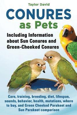 Conures as Pets 1