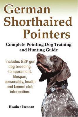 German Shorthaired Pointers 1