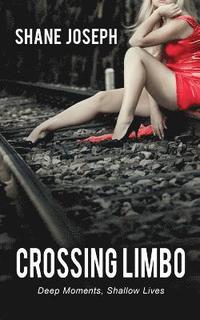 bokomslag Crossing Limbo