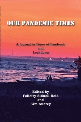 bokomslag Our Pandemic Times