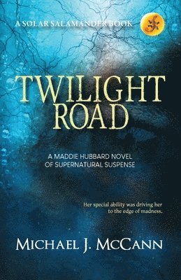 bokomslag Twilight Road