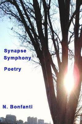 bokomslag Synapse Symphony