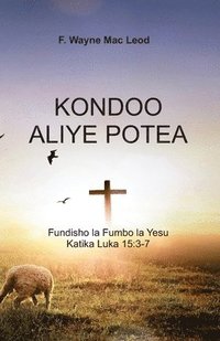 bokomslag The Lost Sheep - Swahili Edition