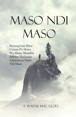 F Wayne Mac Leod, F. Wayne Mac Leod - Face To Face - Chichewa Edition, Häftad