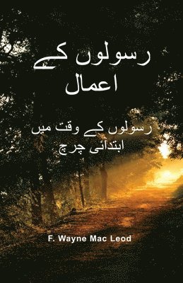 bokomslag The Acts of the Apostles - Urdu Edition