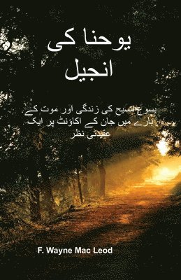 bokomslag The Gospel of John - Urdu Edition