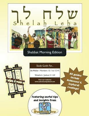 bokomslag Bar/Bat Mitzvah Survival Guides: Shelah Leha (Shabbat am)