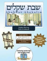 bokomslag Bar/Bat Mitzvah Survival Guides: Shabbat Shekalim (Shabbat am Maftir & Haftarah)