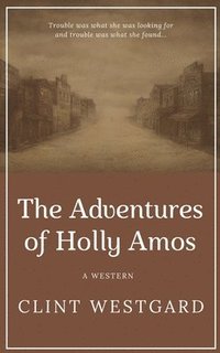 bokomslag The Adventures of Holly Amos