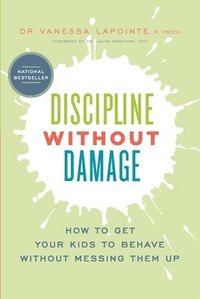 bokomslag Discipline Without Damage