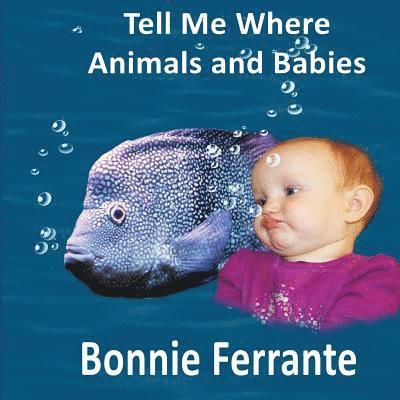 Tell Me Where: Animals and Babies 1
