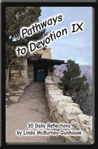 bokomslag Pathways to Devotion IX